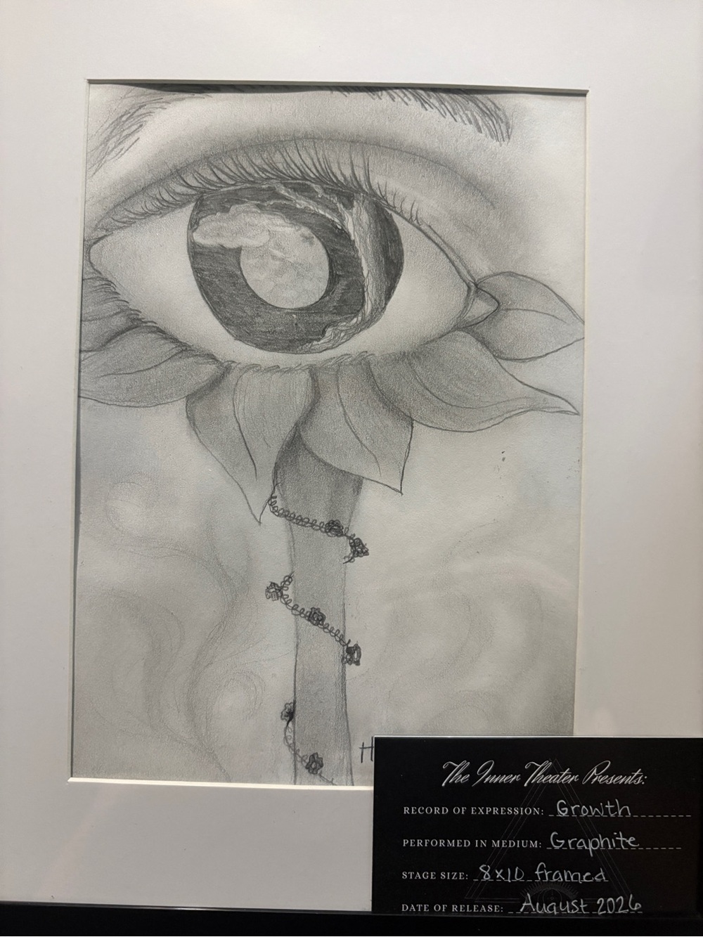 Graphite Growth Eye Art